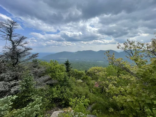 10 Best Hikes And Trails In Kaaterskill Wild Forest 