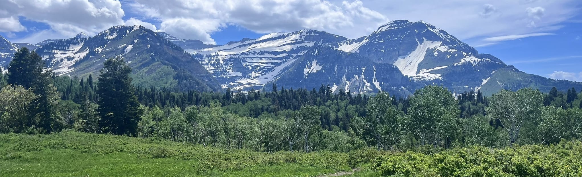 Pine Hollow Overlook 103 Reviews, Map Utah AllTrails
