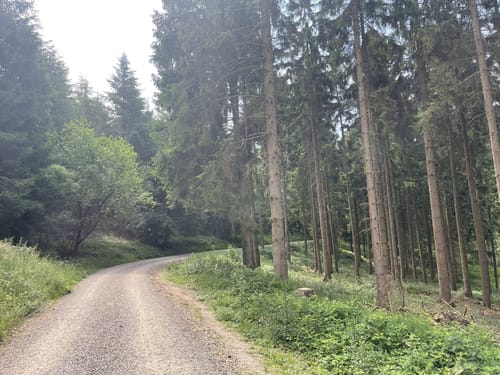 Eifel: Archäologischer Wanderweg