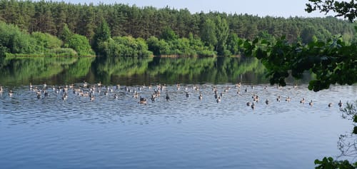 Rundwanderweg Sennesee
