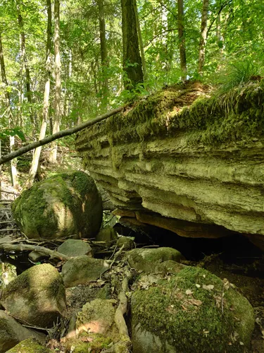 Best Hikes and Trails in Rånna Ryd naturreservat | AllTrails