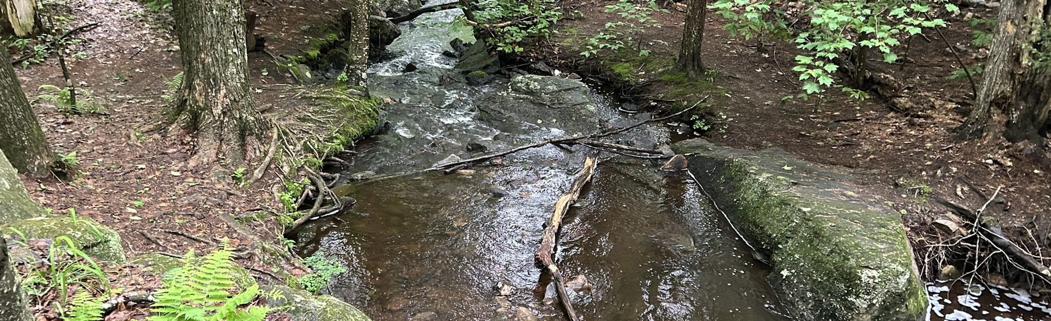 Universal Access Trail to Meadow Lake, New Hampshire 68 Reviews, Map