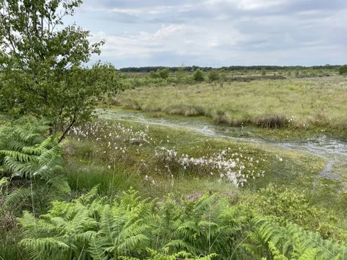 Best Kid Friendly Trails in Solway Coast National Landscape (AONB ...