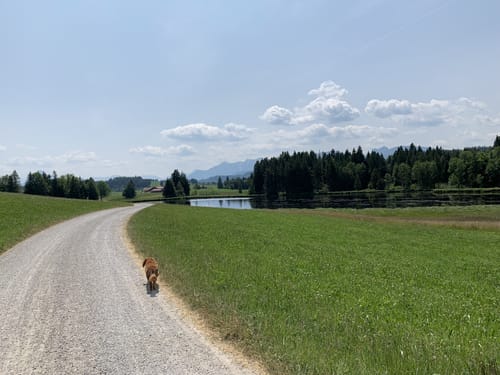 5-Seen-Runde Seeg