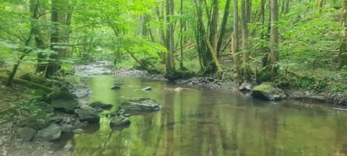 Dhrontal-Wackentour (Traumschleife)