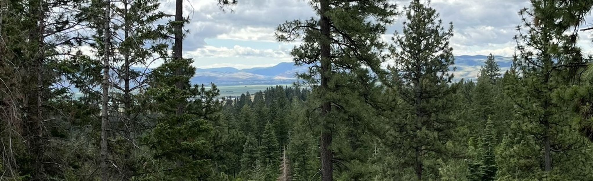 Mount Emily Recreation Area MTB Loop: 6 Reviews, Map - Oregon | AllTrails