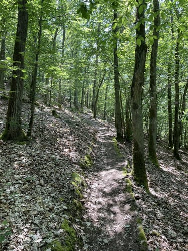 Saar-Hunsrück-Steig Etappe 12: Kempfeld - Idar-Oberstein