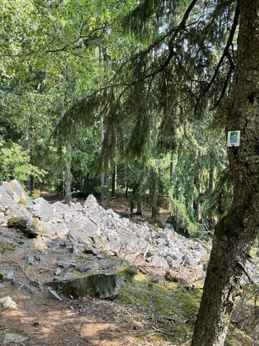 Saar-Hunsrück-Steig Etappe 12: Kempfeld - Idar-Oberstein