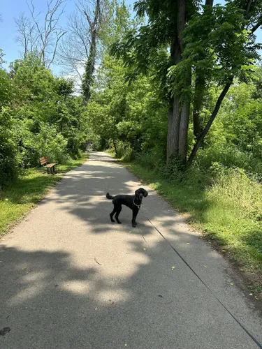 2023 Best Dogs On Leash Trails in Fort Washington | AllTrails