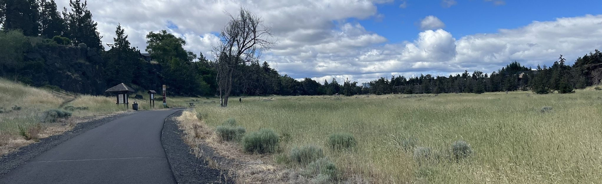 Dry Canyon Loop 78 Reviews Map Oregon Alltrails