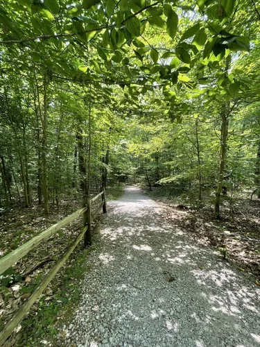 Best hikes in hoosier national cheap forest