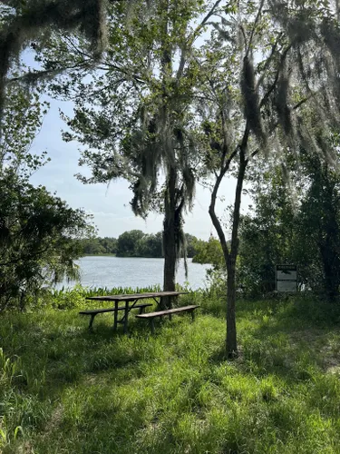 Best Hikes and Trails in Alafia River State Park | AllTrails