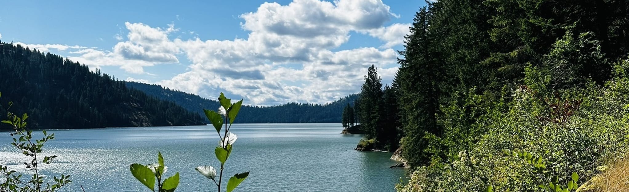 Big Eddy Trail 85 Reviews, Map Idaho AllTrails