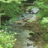 Martins Mine, Cathy Ellis and Ash Creek Trail, Georgia - 162 Reviews ...