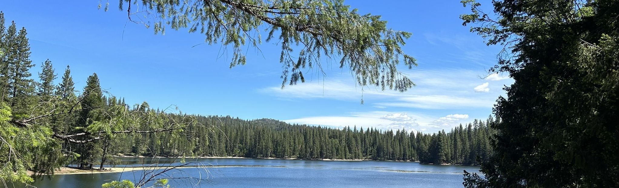 Lyons Dam, California - 509 Reviews, Map | AllTrails