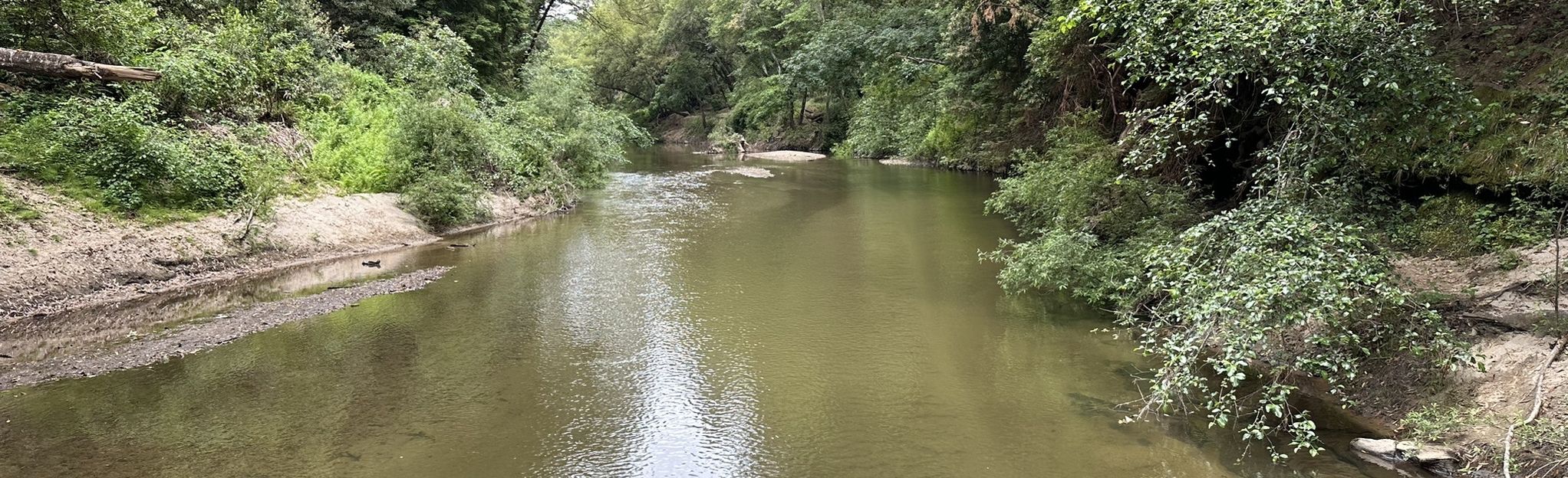 AllTrails Henry Cowell Redwoods - EyJidWNrZXQiOiJhc3NldHMuYWxsdHJhaWxzLmNvbSIsImtleSI6InVwbG9hZHMvcGhvdG8vaW1hZ2UvNjEyMjIzMTQvODMyOTFhNjkzYmU1NmQzM2MzMzMyZWY5YTFjOWFkMDMuanBnIiwiZWRpdHMiOnsidG9Gb3JtYXQiOiJqcGVnIiwicmVzaXplIjp7IndpZHRoIjoyMDQ0LCJoZWlnaHQiOjYyNCwiZml0IjoiY292ZXIifSwicm90YXRlIjpudWxsLCJqcGVnIjp7InRyZWxsaXNRdWFudGlzYXRpb24iOnRydWUsIm92ZXJzaG9vdERlcmluZ2luZyI6dHJ1ZSwib3B0aW1pc2VTY2FucyI6dHJ1ZSwicXVhbnRpc2F0aW9uVGFibGUiOjN9fX0=