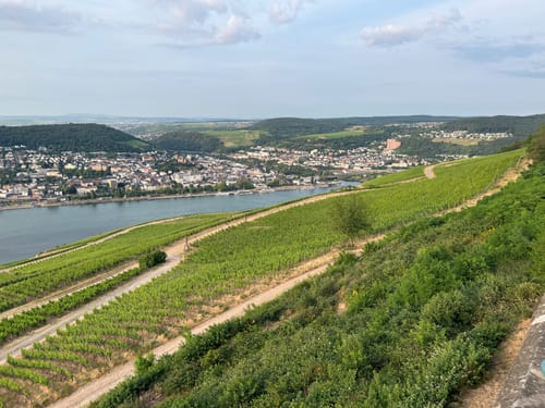 Hildegardweg