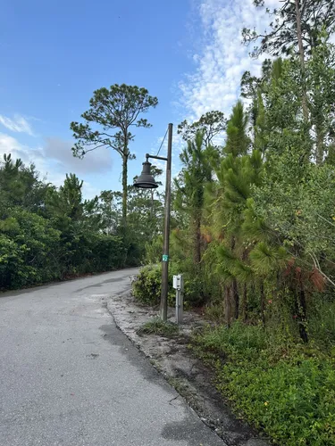 Best Hikes and Trails in Gordon River Greenway Park | AllTrails