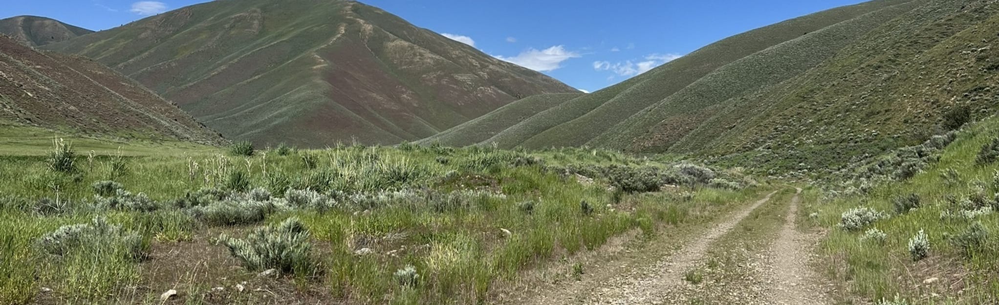 AllTrails Quigley Gulch Nordic Trail [PRIVATE PROPERTY] 37 Reviews