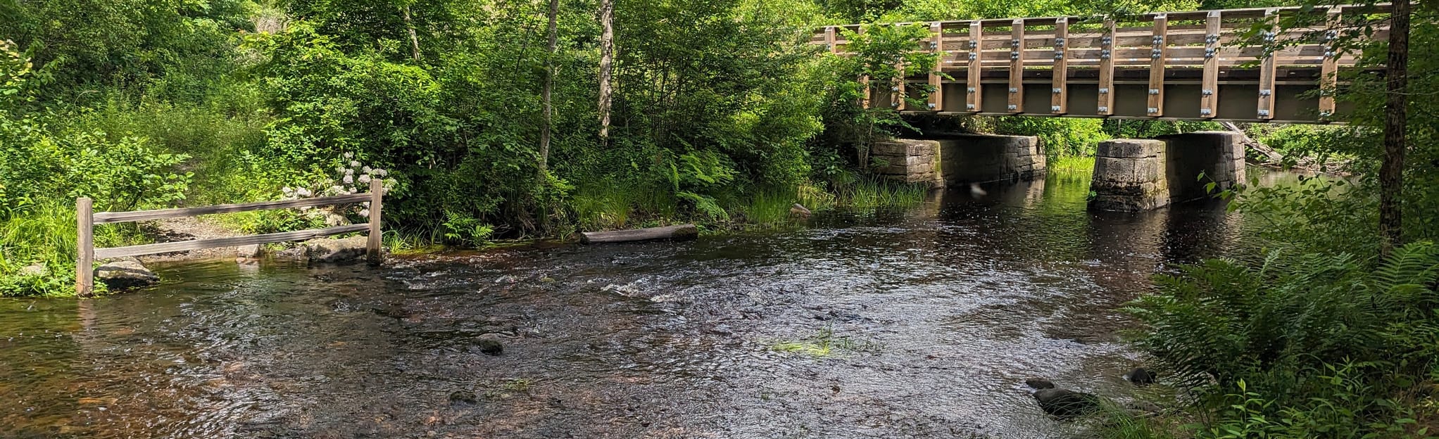 North South Trail Exeter to Carbuncle Pond, Rhode Island 79 Reviews