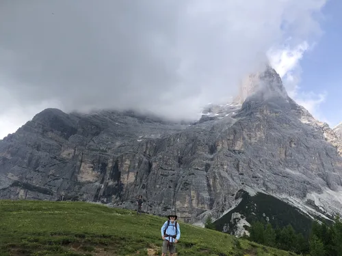 2023 Best Wild Flowers Trails in Vodo di Cadore AllTrails