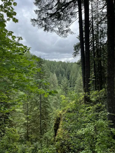 Silver Falls State Park: melhores trilhas curtas