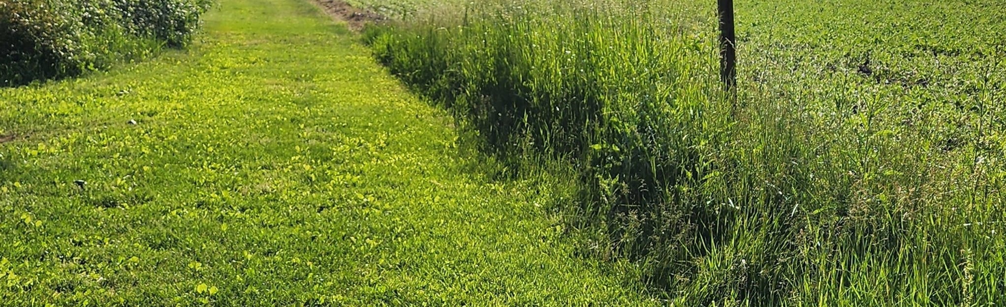 Bradner Preserve Loop, Ohio 56 Reviews, Map AllTrails