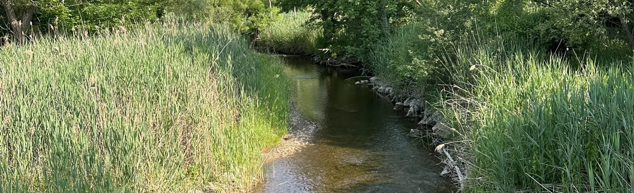 Clinton River Trail 240 Reviews, Map Michigan AllTrails