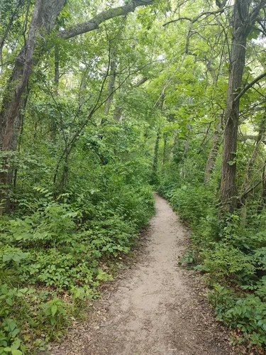 2023 Best Wild Flowers Trails in Machesney Park | AllTrails