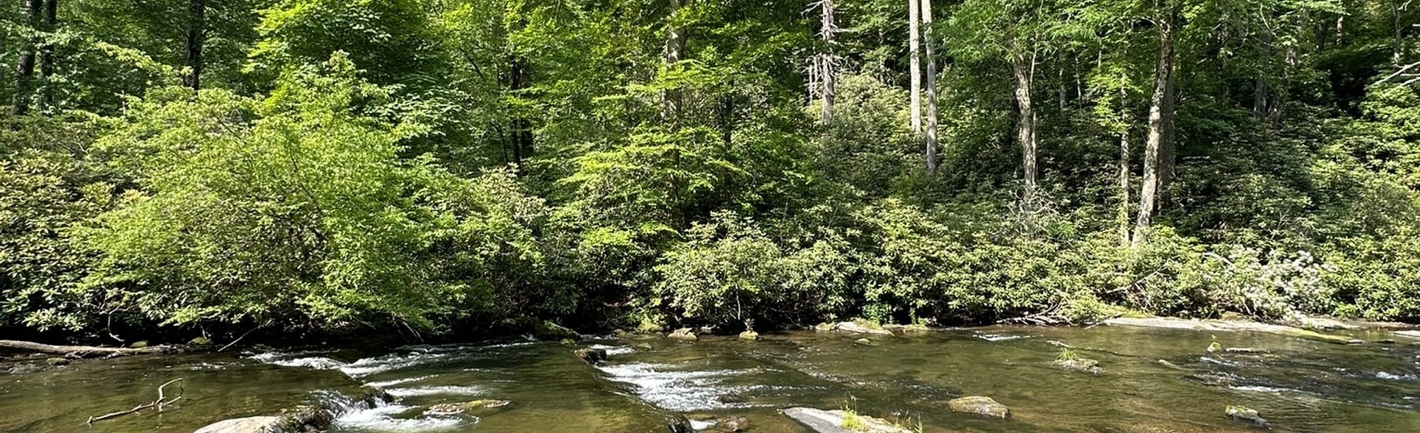 Abrams Creek to Cades Cove Loop 36 Reviews, Map Tennessee AllTrails