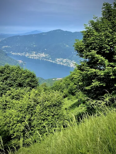 Escursionista Che Cammina Sull'erba in Montagna. Vista Posteriore