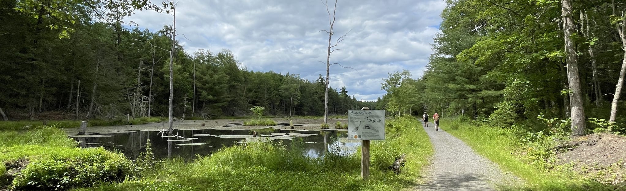 Marbletown OW Rail Trail 104 Reviews, Map New York AllTrails