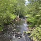 Blackledge River Greenway Trail, Connecticut - 302 Reviews, Map | AllTrails