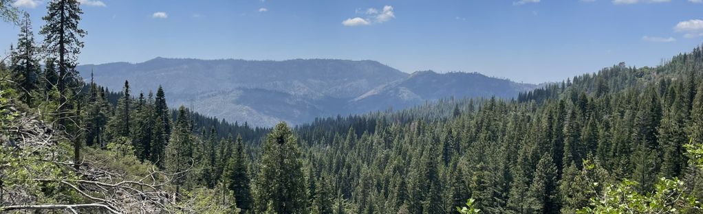 Alder creek shop trail yosemite