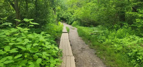 Best Forest Trails in Waban | AllTrails