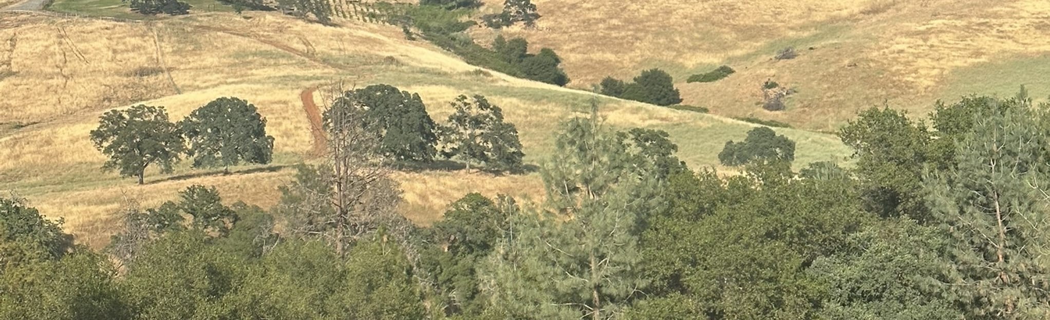 AllTrails Hidden Falls Trail - EyJidWNrZXQiOiJhc3NldHMuYWxsdHJhaWxzLmNvbSIsImtleSI6InVwbG9hZHMvcGhvdG8vaW1hZ2UvNjEzMzc2NzAvN2ExMTQ1NjNmNzBiYjc1Y2UzMDNjNzc5ZGMxOWNlNGIuanBnIiwiZWRpdHMiOnsidG9Gb3JtYXQiOiJqcGVnIiwicmVzaXplIjp7IndpZHRoIjoyMDQ0LCJoZWlnaHQiOjYyNCwiZml0IjoiY292ZXIifSwicm90YXRlIjpudWxsLCJqcGVnIjp7InRyZWxsaXNRdWFudGlzYXRpb24iOnRydWUsIm92ZXJzaG9vdERlcmluZ2luZyI6dHJ1ZSwib3B0aW1pc2VTY2FucyI6dHJ1ZSwicXVhbnRpc2F0aW9uVGFibGUiOjN9fX0=