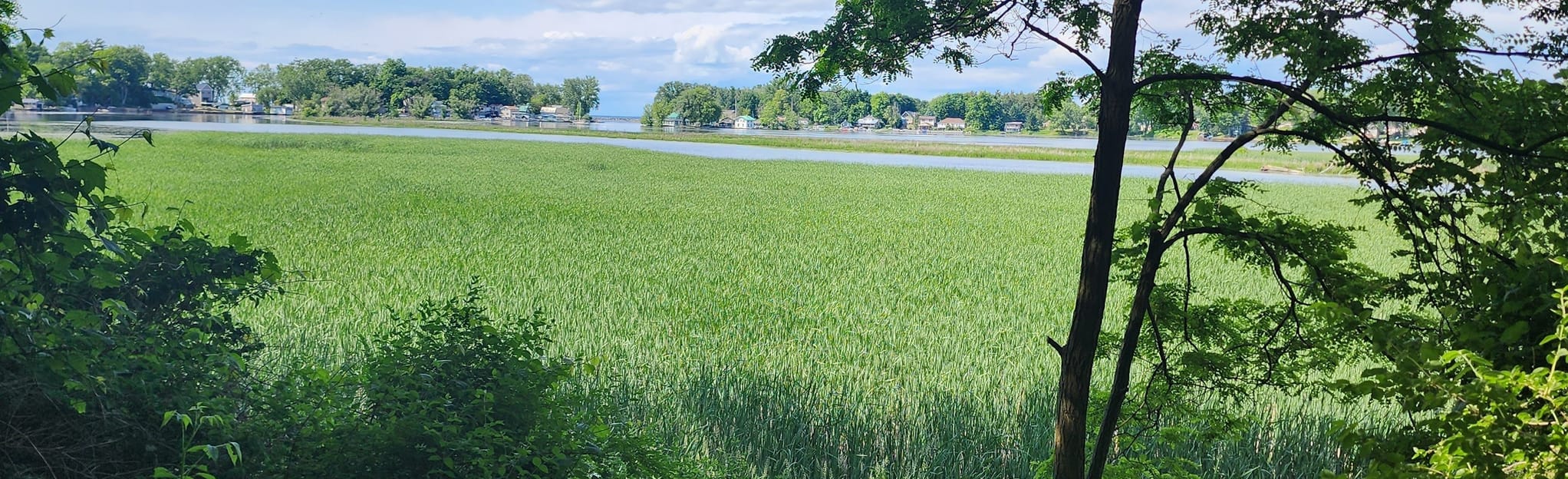 Pine Grove and Lakeshore Trail Loop, New York 61 Reviews, Map AllTrails