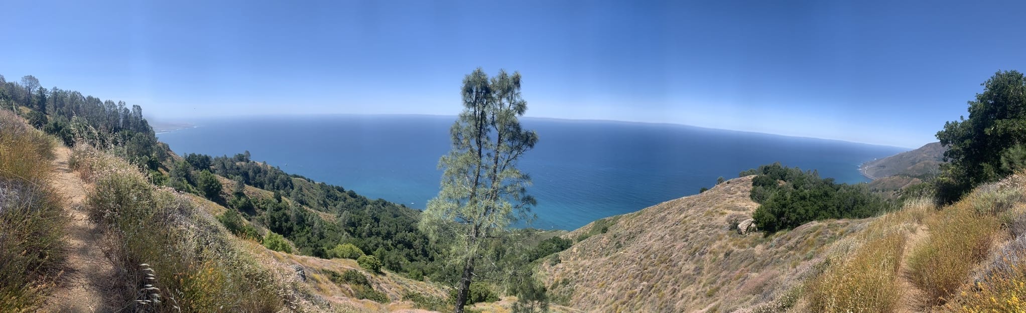 Salmon Creek Trailhead to Buckeye Camp, California 154 Reviews, Map