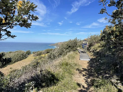 10 Best Hikes and Trails in Hat Head National Park | AllTrails