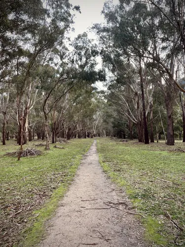 Grampians discount mtb trails