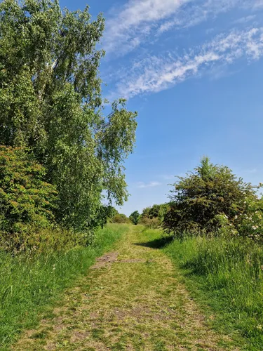10 Best Trails, Walks, and Paths in Swindon | AllTrails
