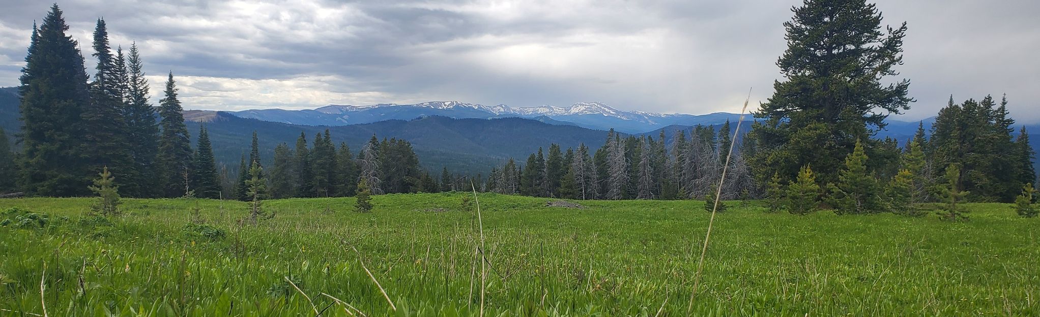 Ramshorn Lake via Buffalo Horn Trail, Montana - 38 Reviews, Map | AllTrails