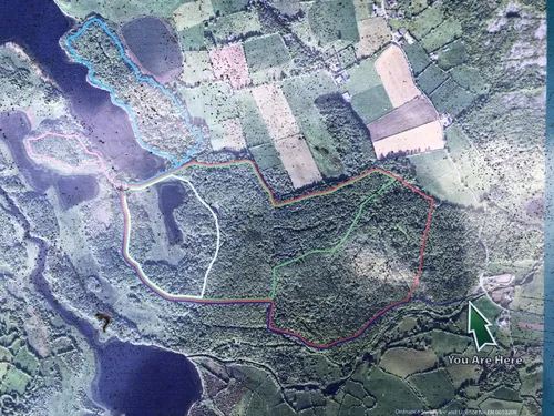 Best Hikes and Trails in Dromore Wood | AllTrails