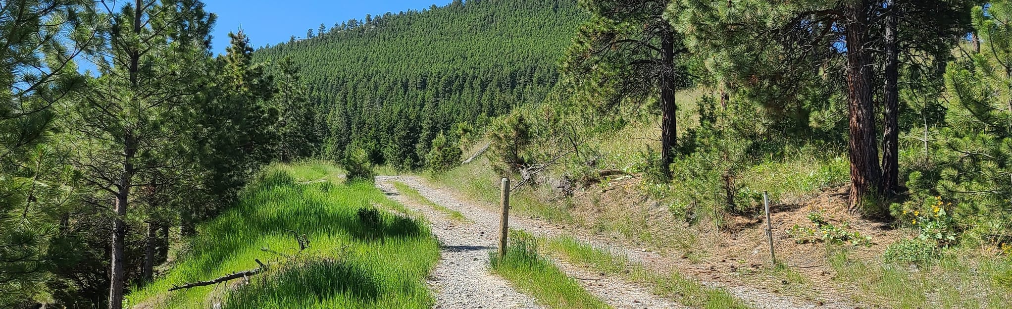 AllTrails Archery Range Trail 19 Reviews, Map Montana
