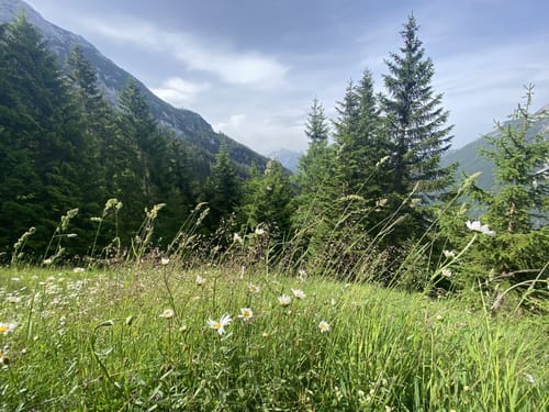Brunnsteinhütte