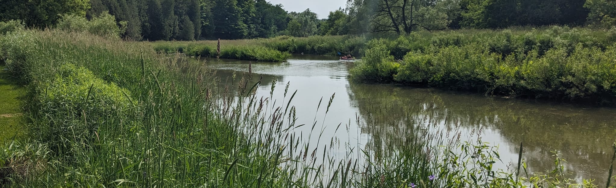 Conestoga Lake Trail: 13 Reviews, Map - Ontario, Canada | AllTrails