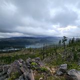 Marion Lake Trail, Oregon - 464 Reviews, Map | AllTrails