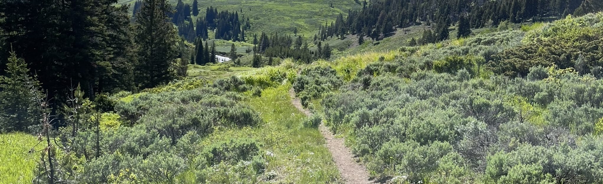 Sportsman Lake Trail, Montana - 4 Reviews, Map | AllTrails