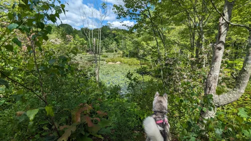 Best Hikes and Trails in Walden Preserve | AllTrails