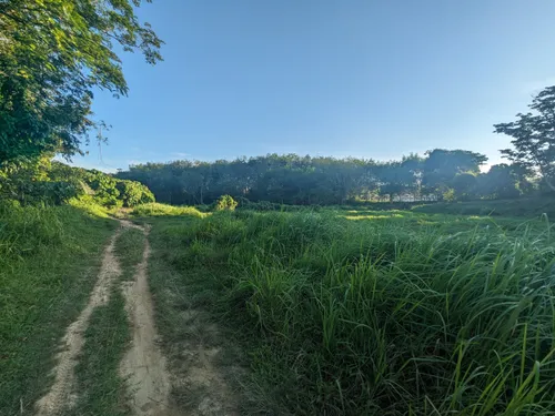 12 of the Best Running Routes in Phuket